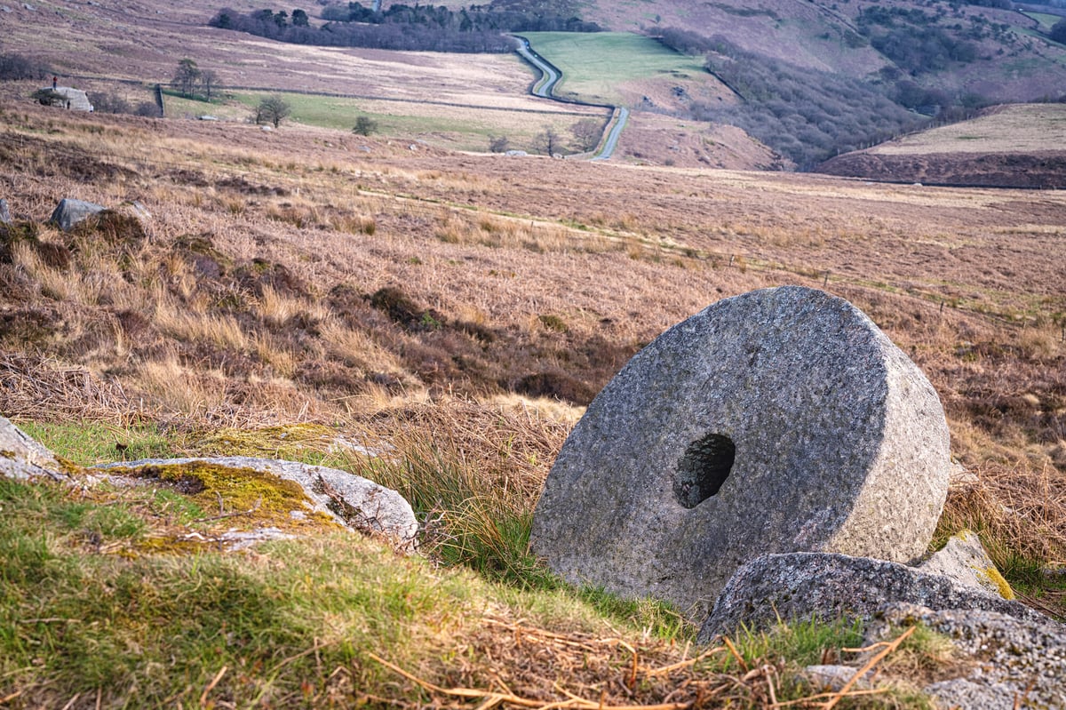 RS245_Wide angle view of a millstone on moorland below Stanage Edge in Spring_lpr